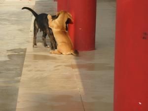 印象·百隆7标 - 文学苑 - 888集团电子游戏