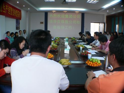 集团公司检查审核组莅临长长公司检查指导事情 - 企业要闻 - 888集团电子游戏