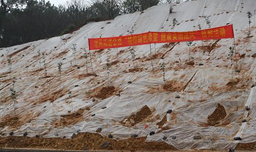 灌凤1标组织开展植树环保；疃 - 企业要闻 - 888集团电子游戏