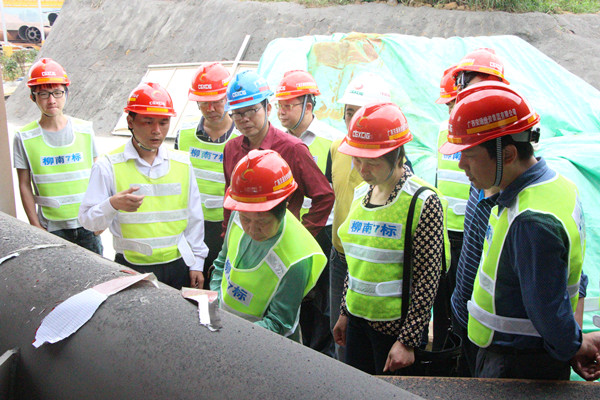 柳南改扩建№7标马滩红水河特大桥拱肋首节段通过评审验收  - 工程动态 - 888集团电子游戏