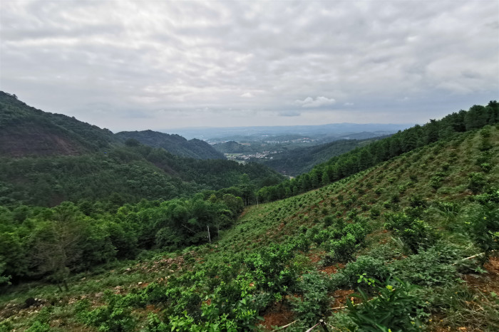 888集团电子游戏(中国游)有限公司官网