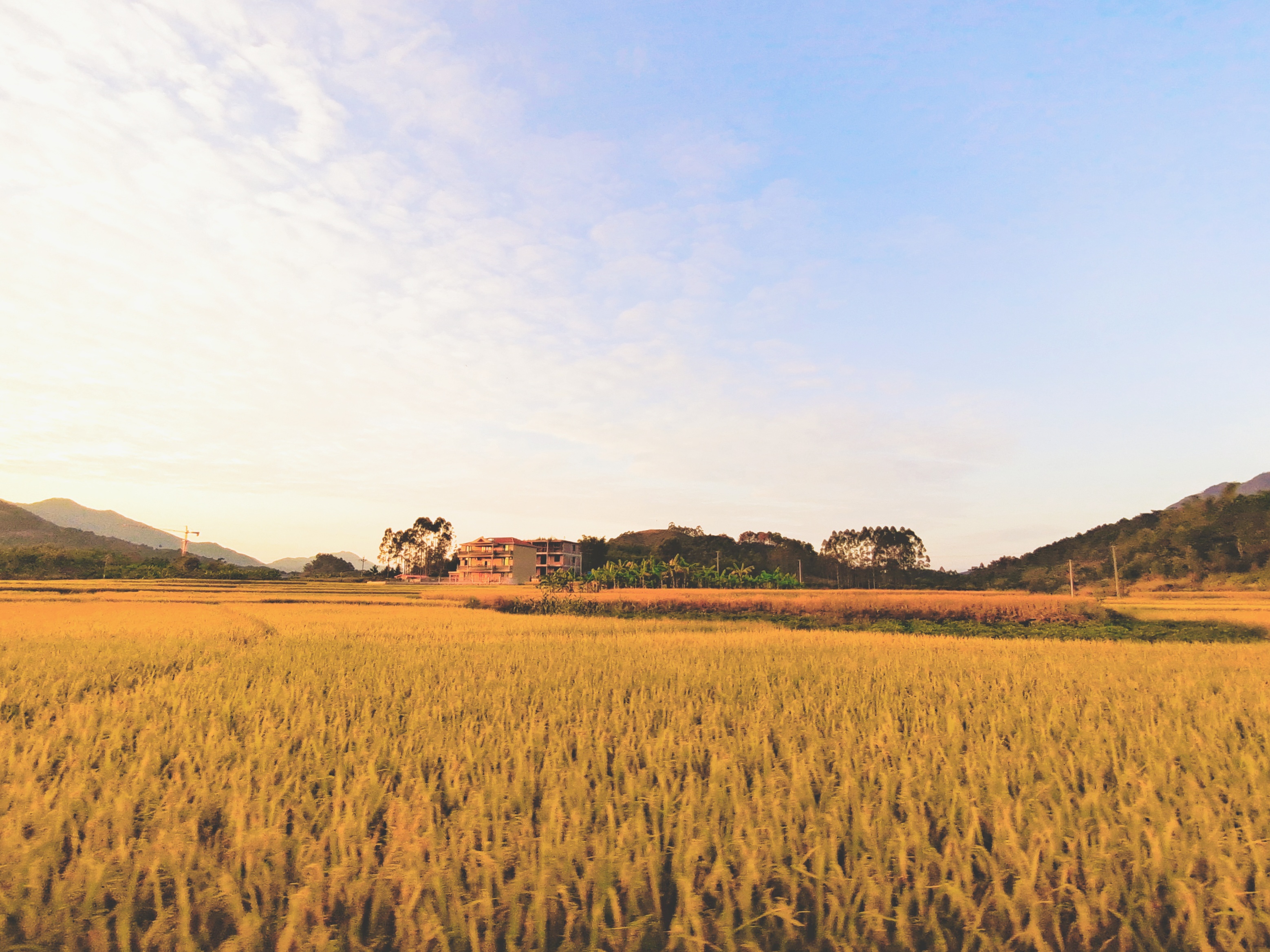 888集团电子游戏(中国游)有限公司官网