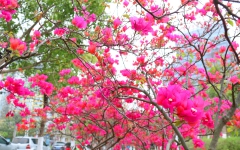 文学苑 - 888集团电子游戏