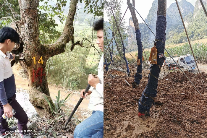 888集团电子游戏(中国游)有限公司官网