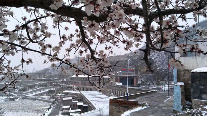 888集团电子游戏(中国游)有限公司官网