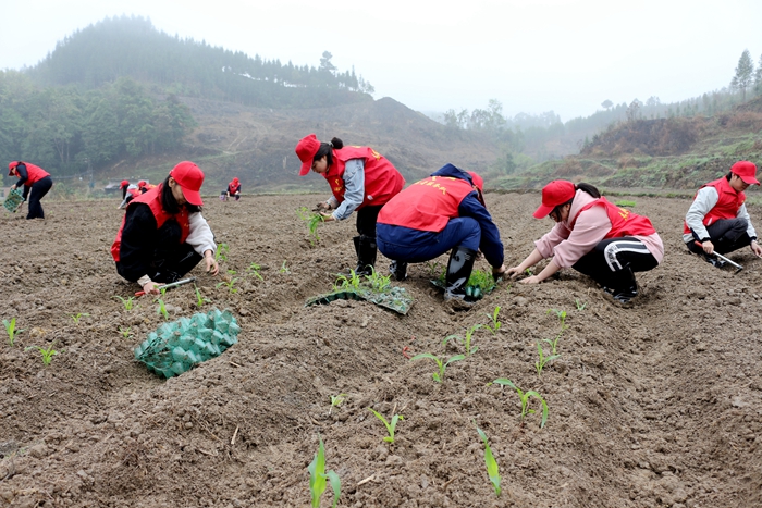 888集团电子游戏(中国游)有限公司官网