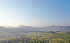 工程动态 - 888集团电子游戏