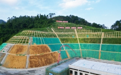 工程动态 - 888集团电子游戏