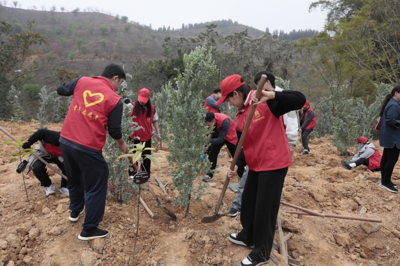 888集团电子游戏(中国游)有限公司官网